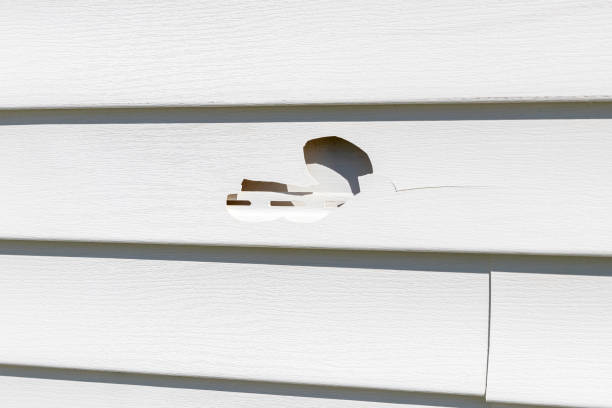 Affordable siding repair and maintenance services in Portage, WI