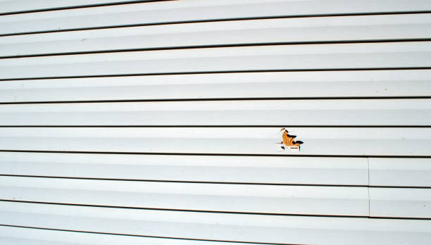 Historical Building Siding Restoration in Portage, WI